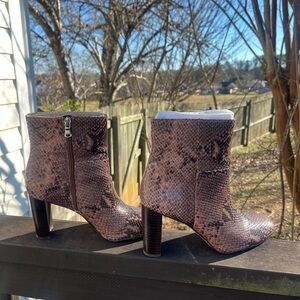 Ann Taylor Tallulah Snake Bootie